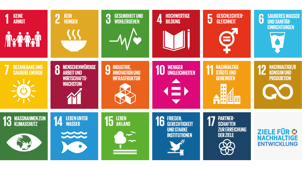 Die 17 Ziele für nachhaltige Entwicklung (Grafik: Bundesregierung)