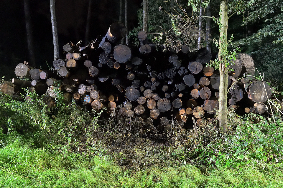 Der Holzstapel nach dem Löschen der Flammen (Foto: Stadt Viersen)