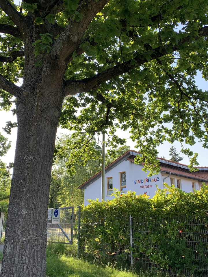 Betroffen ist der Bereich des Zugangs zum Kinderhaus (Foto: Stadt Viersen) - Das Bild zeigt im Vordergrund einen Baum und im Hintergrund das Gebäude des Kinderhauses