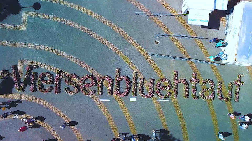 Das Drohnenbild zeigt den aus blühenden Blumen gebildeten Schriftzug "#Viersenbluehtauf" auf dem Sparkassenvorplatz in Viersen