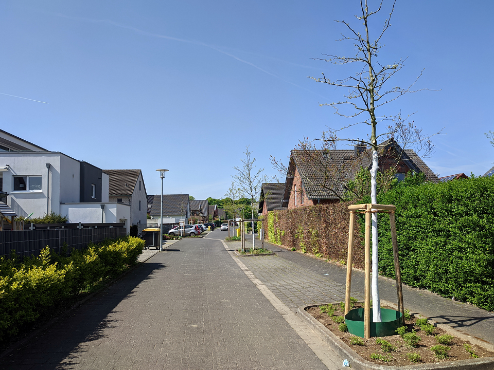 Frisch gepflanzte Straßenbäume im Baugebiet Neustraße in Süchteln (Foto: Stadt Viersen)