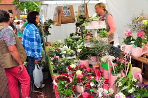 Marktstand mit Blumen
