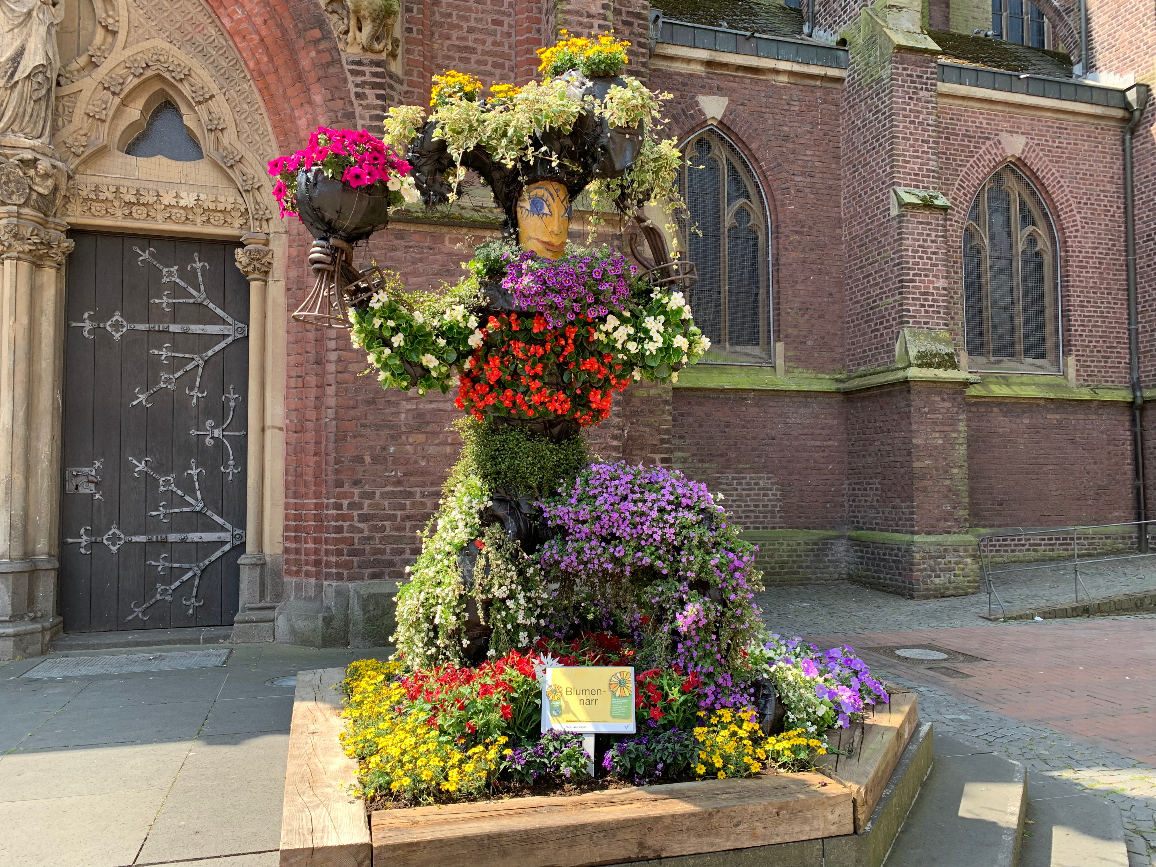 Viersen blüht - Blumennarr