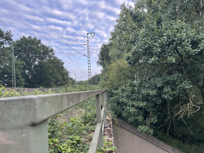 Symboldbild Bäume an Bahnlinie (Foto: Stadt Viersen)
