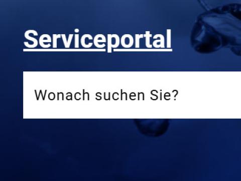 Screenshot des Serviceportals der Stadt Viersen