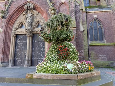 Viersen blüht - Blumennarr