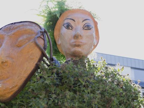 Viersen blüht - Die Blumenmöhne