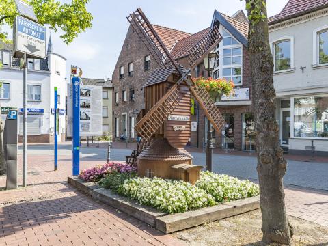 Viersen blüht - Narrenmühle
