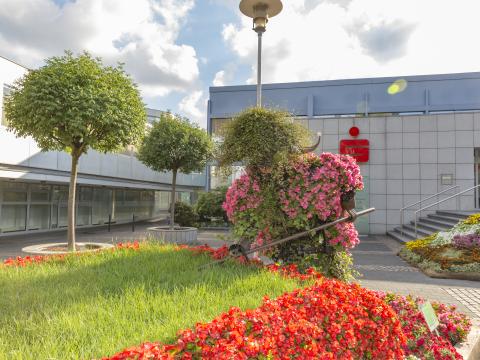 Viersen blüht - Der Billardspieler