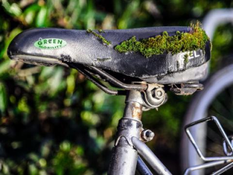 Fahrradsattel mit Moos