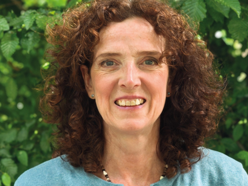 Ulrike Zins